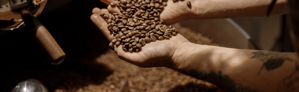 Man holding roasted coffee beans in his palm